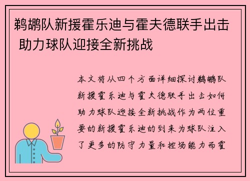 鹈鹕队新援霍乐迪与霍夫德联手出击 助力球队迎接全新挑战