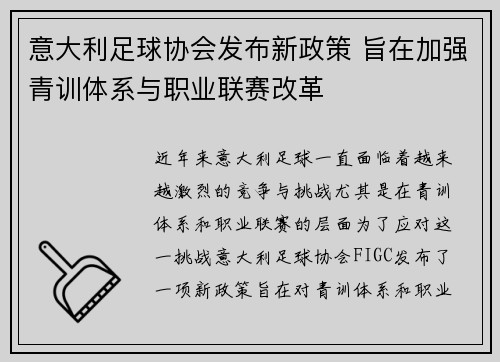 意大利足球协会发布新政策 旨在加强青训体系与职业联赛改革